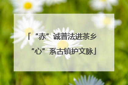“赤”诚普法进茶乡 “心”系古镇护文脉