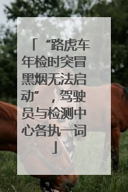 “路虎车年检时突冒黑烟无法启动”，驾驶员与检测中心各执一词