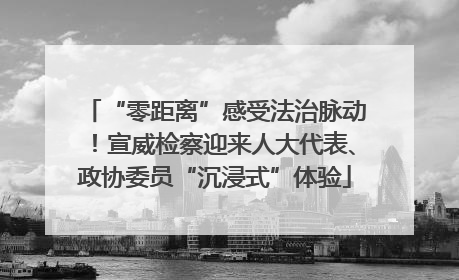“零距离”感受法治脉动！宣威检察迎来人大代表、政协委员“沉浸式”体验