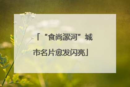 “食尚漯河”城市名片愈发闪亮