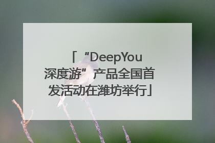 “DeepYou深度游”产品全国首发活动在潍坊举行