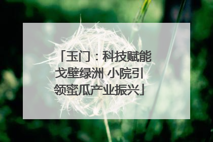 玉门：科技赋能戈壁绿洲 小院引领蜜瓜产业振兴