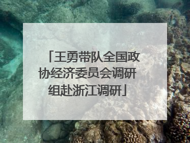王勇带队全国政协经济委员会调研组赴浙江调研