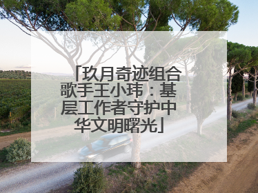 玖月奇迹组合歌手王小玮：基层工作者守护中华文明曙光
