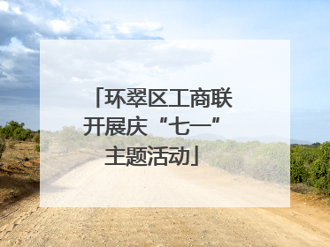 环翠区工商联开展庆“七一”主题活动