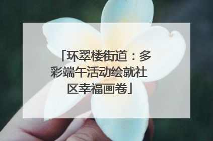 环翠楼街道：多彩端午活动绘就社区幸福画卷