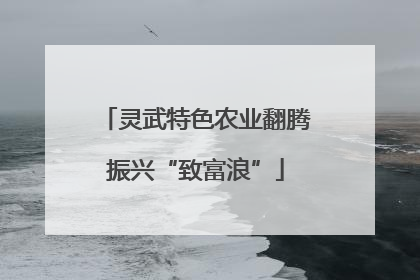 灵武特色农业翻腾振兴“致富浪”