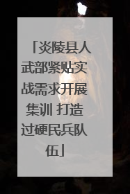 炎陵县人武部紧贴实战需求开展集训 打造过硬民兵队伍