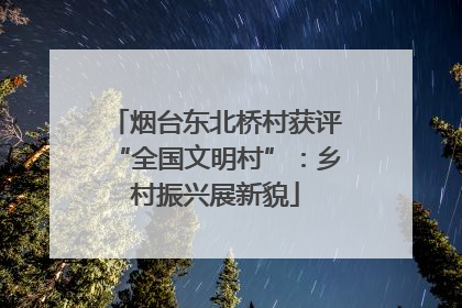烟台东北桥村获评“全国文明村”：乡村振兴展新貌