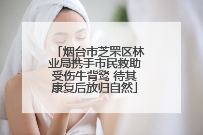 烟台市芝罘区林业局携手市民救助受伤牛背鹭 待其康复后放归自然