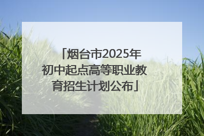 烟台市2025年初中起点高等职业教育招生计划公布