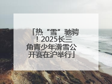 热“雪”驰骋！2025长三角青少年滑雪公开赛在沪举行