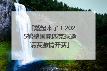 燃起来了！2025鹤壁国际匹克球邀请赛激情开赛