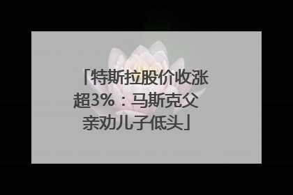 特斯拉股价收涨超3%：马斯克父亲劝儿子低头