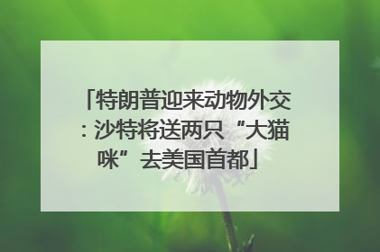 特朗普迎来动物外交：沙特将送两只“大猫咪”去美国首都