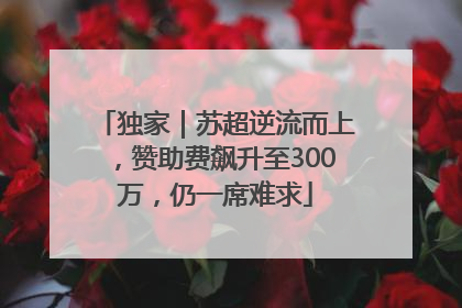 独家｜苏超逆流而上，赞助费飙升至300万，仍一席难求