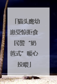 猫头鹰幼崽受惊拒食 民警“奶爸式”暖心投喂