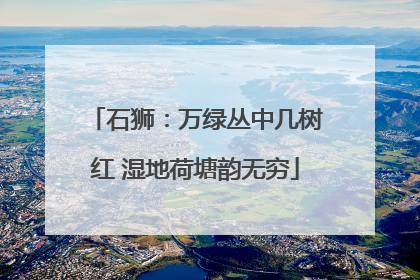 石狮：万绿丛中几树红 湿地荷塘韵无穷