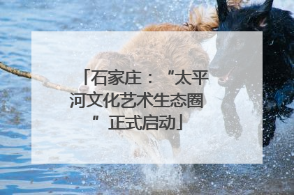 石家庄：“太平河文化艺术生态圈”正式启动
