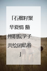 石榴籽聚华夏情 随州职院学子共绘团结卷