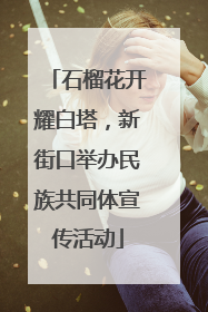 石榴花开耀白塔，新街口举办民族共同体宣传活动