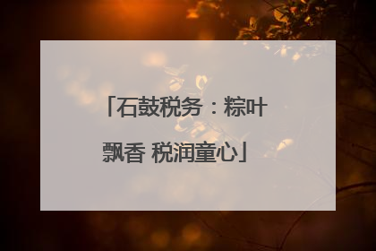 石鼓税务：粽叶飘香 税润童心