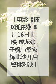 电影《捕风追影》8月16日上映 成龙张子枫与梁家辉此沙开启警匪对决
