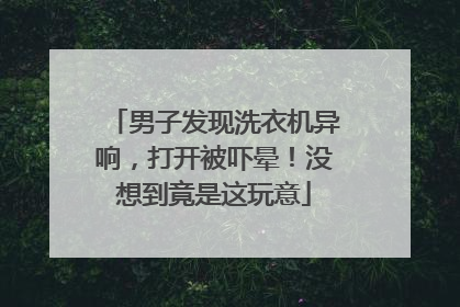 男子发现洗衣机异响，打开被吓晕！没想到竟是这玩意