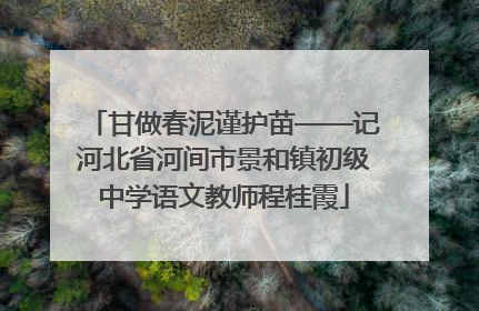 甘做春泥谨护苗——记河北省河间市景和镇初级中学语文教师程桂霞