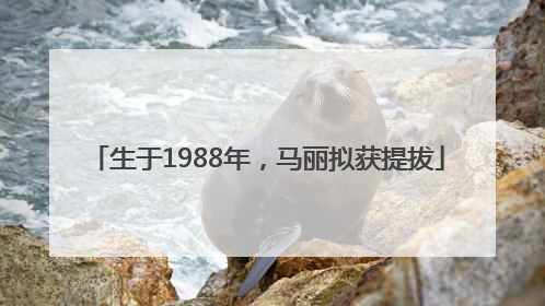 生于1988年，马丽拟获提拔