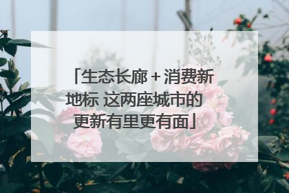 生态长廊＋消费新地标 这两座城市的更新有里更有面