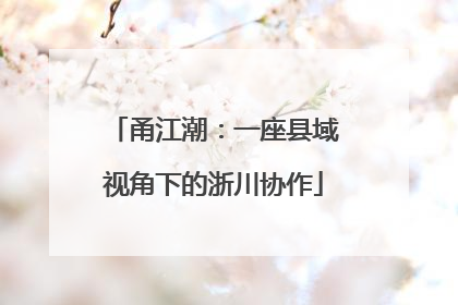 甬江潮：一座县域视角下的浙川协作