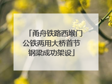 甬舟铁路西堠门公铁两用大桥首节钢梁成功架设
