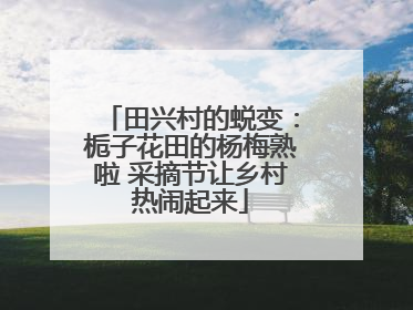 田兴村的蜕变：栀子花田的杨梅熟啦 采摘节让乡村热闹起来