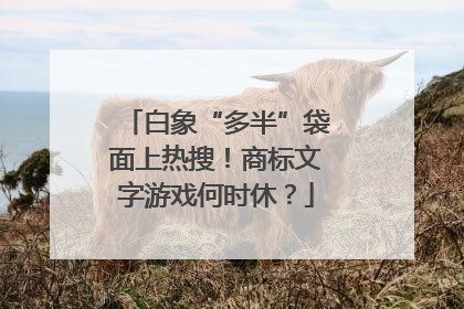 白象“多半”袋面上热搜！商标文字游戏何时休？