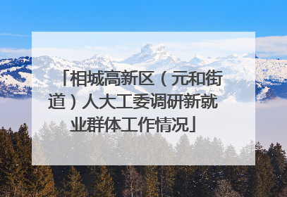 相城高新区（元和街道）人大工委调研新就业群体工作情况