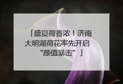 盛夏荷香浓！济南大明湖荷花率先开启“颜值暴击”