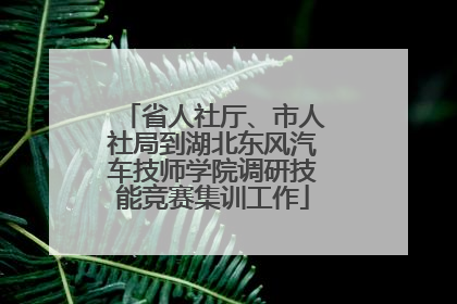 省人社厅、市人社局到湖北东风汽车技师学院调研技能竞赛集训工作