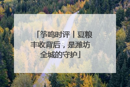 筝鸣时评丨夏粮丰收背后，是潍坊全城的守护