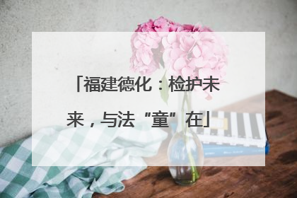 福建德化：检护未来，与法“童”在