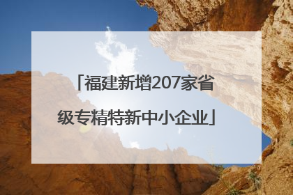 福建新增207家省级专精特新中小企业