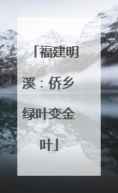 福建明溪：侨乡绿叶变金叶