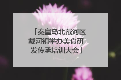 秦皇岛北戴河区戴河镇举办美食研发传承培训大会