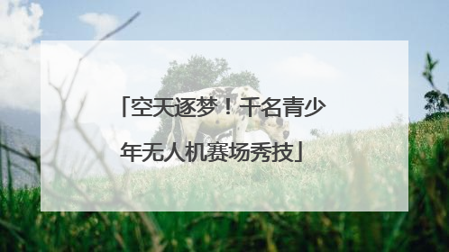 空天逐梦！千名青少年无人机赛场秀技