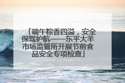 端午粽香四溢，安全保驾护航——东平大羊市场监管所开展节前食品安全专项检查