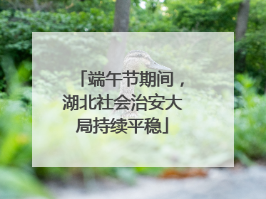 端午节期间，湖北社会治安大局持续平稳