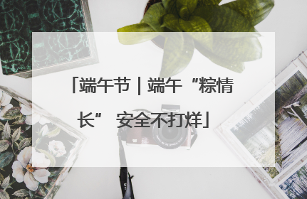 端午节｜端午“粽情长” 安全不打烊