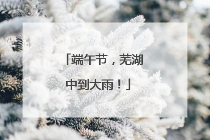端午节，芜湖中到大雨！