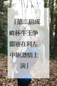第二届成峰杯牛王争霸赛在科左中旗激情上演