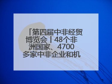 第四届中非经贸博览会丨48个非洲国家、4700多家中非企业和机构将参会